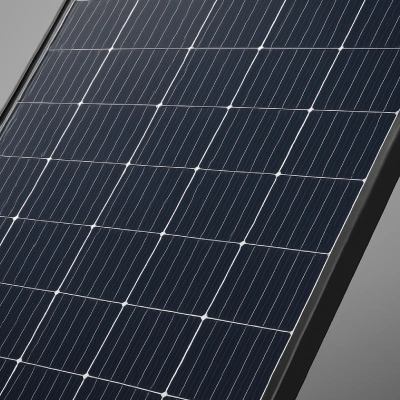 optimized-image-1 – 2025-11-20T214553.257 optimized-image-1 - 2025-11-20T214553.257